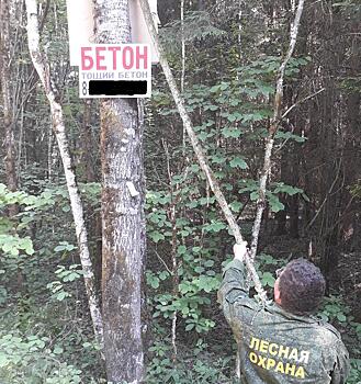 Лесничие очистили лес от рекламы в Наро-Фоминском округе