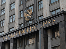 В Госдуме прокомментировали слухи о возможной блокировке иностранных хостингов