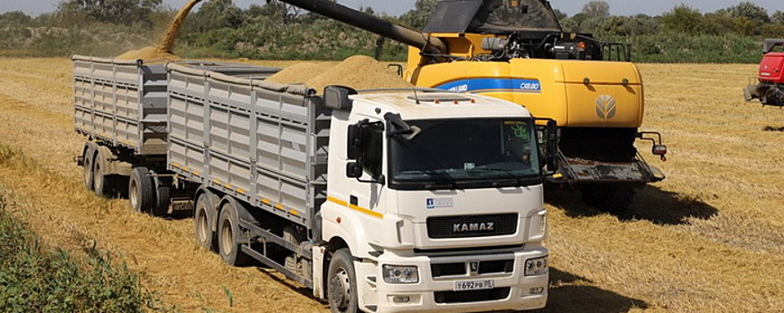 На Ставрополье урожай винограда сократился на треть в 2023 году