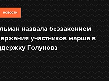 Голунов сообщил о задержании 94 человек в центре Москвы