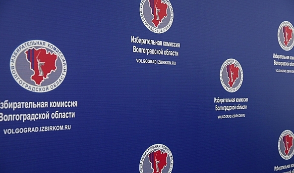 Международные эксперты оценили организацию выборов в Волгограде