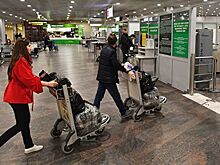 Эксперт рассказал, когда отменят сдачу бумажных посадочных из командировки