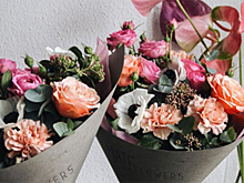 «Чем ты меньше и мобильнее, тем тебе проще будет выжить»