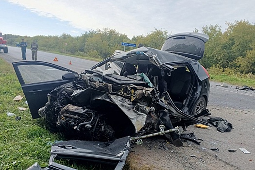 В Омской области в ДТП с КамАЗом погиб водитель легковушки