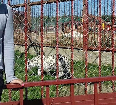 Дети из центра содействия семейному воспитанию в Ново-Переделкино побывали в парке экзотических животных
