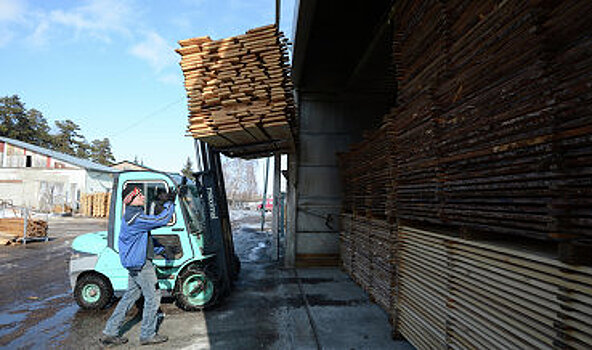 В России предложено ограничить экспорт древесины
