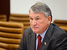 Воробьёв предложил принять меры по реформированию системы лесоуправления 