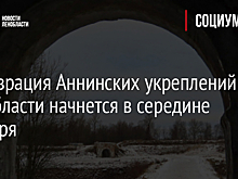 Реставрация Аннинских укреплений в Ленобласти начнется в середине декабря