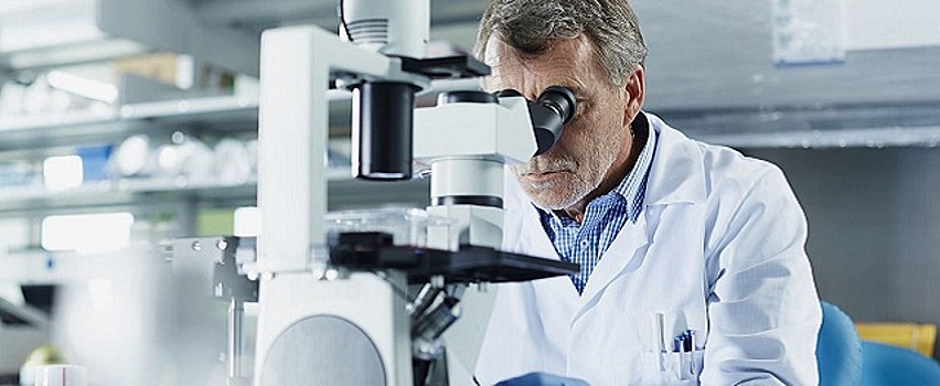 В США хотят вывести более опасный штамм вируса оспы обезьян