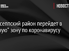 Кингисеппский район перейдет в “зеленую” зону по коронавирусу