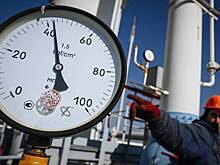 Экономист предсказала падение цен на газ в Европе