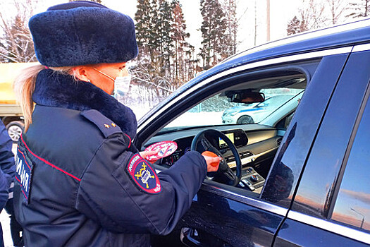 В Воронеже сотрудники ДПС обнаружили у водителя 250 неоплаченных штрафов