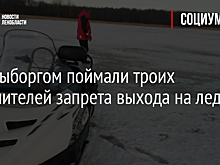 Под Выборгом поймали троих нарушителей запрета выхода на лед