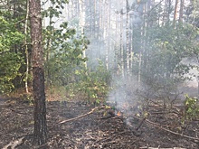 Рязанцам грозит штраф за костры и мангалы от 40 тысяч рублей