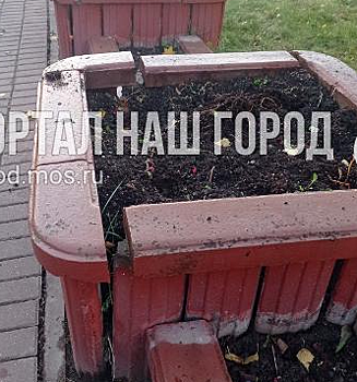 На Новокуркинском шоссе отремонтировали цветники