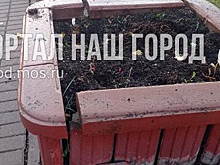На Новокуркинском шоссе отремонтировали цветники