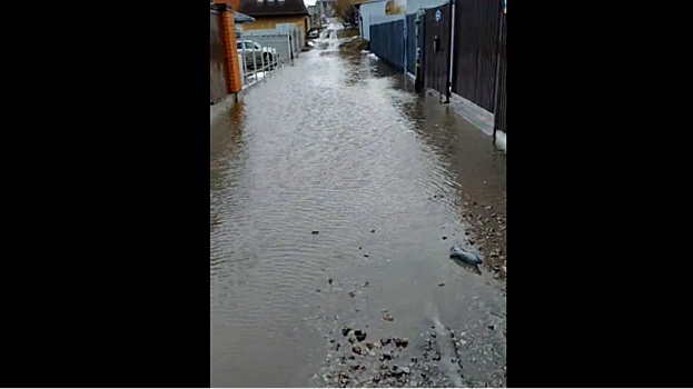 Во время аномального потепления улицу Жемчужную в Саратове снова затопило