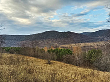 Фотоловушка запечатлела алтайских уларов в нацпарке