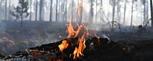 На севере Иркутской области ввели режим ЧС для борьбы с лесными пожарами