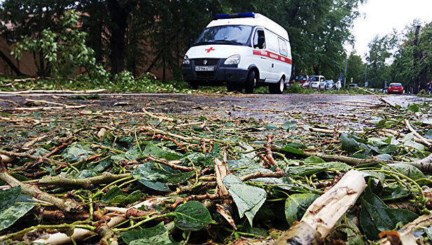 В Москве госпитализировали почти 150 человек из-за урагана