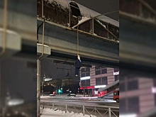 В российском регионе отреагировали на повешенное чучело губернатора