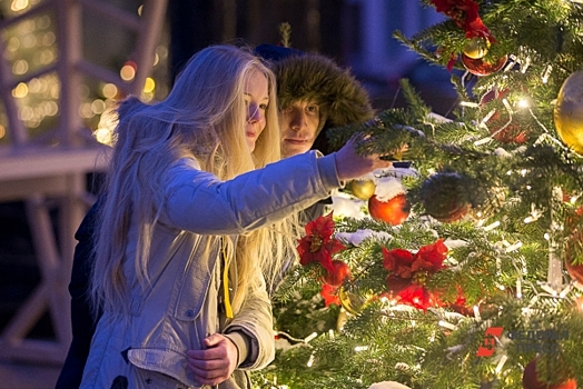 Власти Новосибирска утвердили график подготовки к Новому году