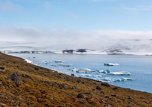 «Наше преимущество»: России дали совет, как выгодно использовать Арктику
