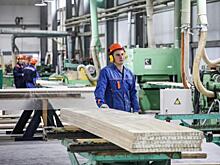Крупнейшая лесопромышленная компания Приморья распилит пошлины всухую