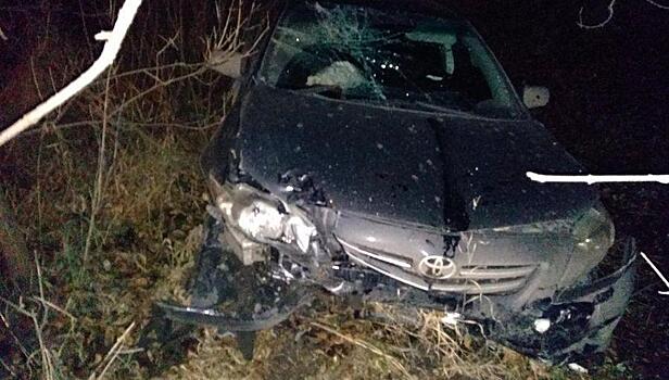 В Кирове водитель «Тойоты» из-за собаки на дороге вылетел в кювет и врезался в дерево: двое человек получили травмы, один из них – ребенок