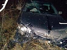 В Кирове водитель «Тойоты» из-за собаки на дороге вылетел в кювет и врезался в дерево: двое человек получили травмы, один из них – ребенок