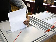 Выборы губернатора Приморья: во Владивостоке задержали подозреваемого в скупке голосов