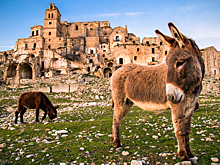 Самый красивый покинутый город: почему ушли люди