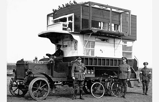 Самые необычные «профессии» автомобилей