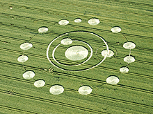 Кто на самом деле оставляет круги на полях