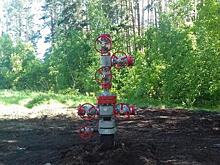 РБК: «Новому потоку» не хватает денег на проект по добыче нефти в Бузулукском бору