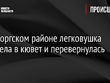 В Выборгском районе легковушка вылетела в кювет и перевернулась