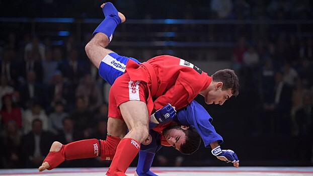 Министерство спорта РФ признало самбо олимпийским видом спорта