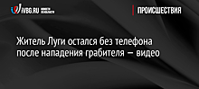 Житель Луги остался без телефона после нападения грабителя — видео