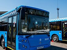 Москвичи могут бесплатно перевезти велосипеды в частных автобусах