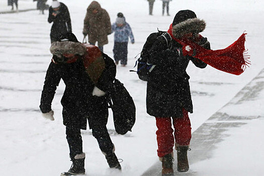 Синоптик Ильин: циклон "Рикса" принесет в Москву обильный снег с дождем