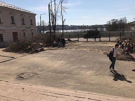 Кто и зачем срубил деревья возле КГУ?