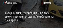 Мокрый снег, гололедица и до +8°С днем: прогноз погоды в Ленобласти на 17 апреля