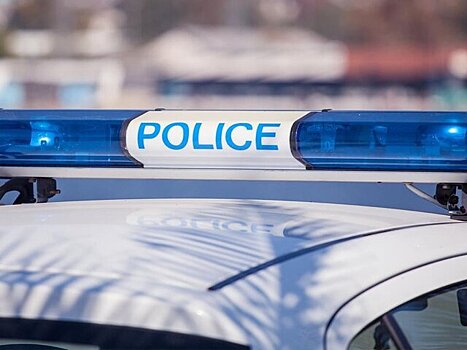 Kronen Zeitung: три девушки задержаны в Вене за серию поджогов от скуки