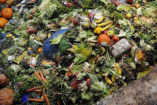 В Башкирии фермер предложил утилизировать биологический мусор по новой технологии