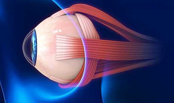 Новый имплант с лекарством лечит глаукому изнутри глаза