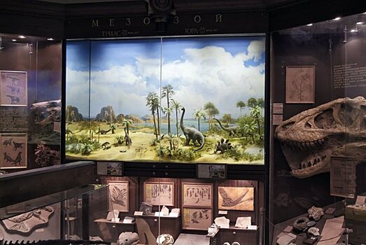 Елка в Биологическом музее им. Тимирязева