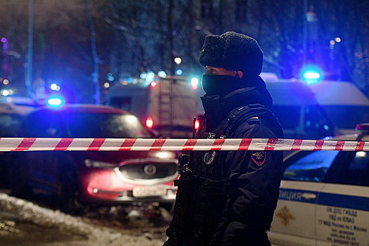 Раскрыты подробности об убийстве и расчленении пенсионерки в Москве