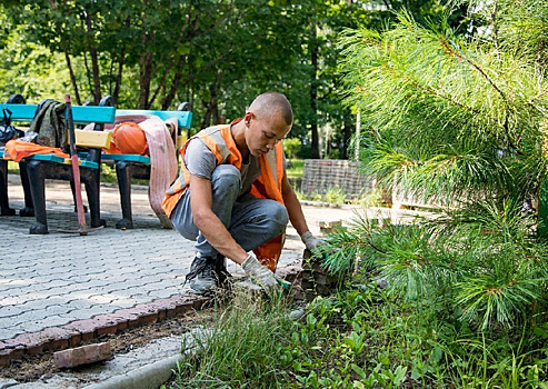 В Благовещенске при реконструкции Первомайского парка пообещали сохранить все деревья