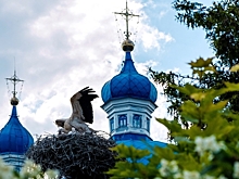 Блогерша оголилась на фоне Храма Преображения Господня в Калуге