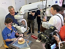 В Тюмени на 3D-принтере печатают мозги